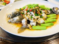 青花椒蒸笋壳鱼-猪肉婆私房菜(容桂总店)