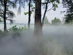 -东湖落雁景区