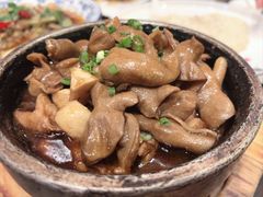 -芙蓉凰花园酒楼