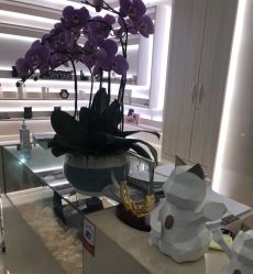 点击看大图 -贝黎诗SPA