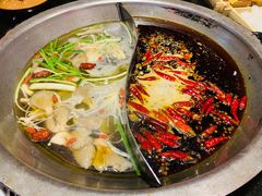 宽板凳菌汤鸳鸯锅-宽板凳老灶火锅(南礼士路店)