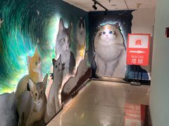 -猫腻·猫咖·撸猫馆(星光大道店)