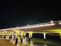 -演武大桥观景平台