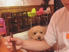 -帕帕拉兹宠物(亚洲旗舰店)