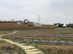 -紫颐香薰山谷景区
