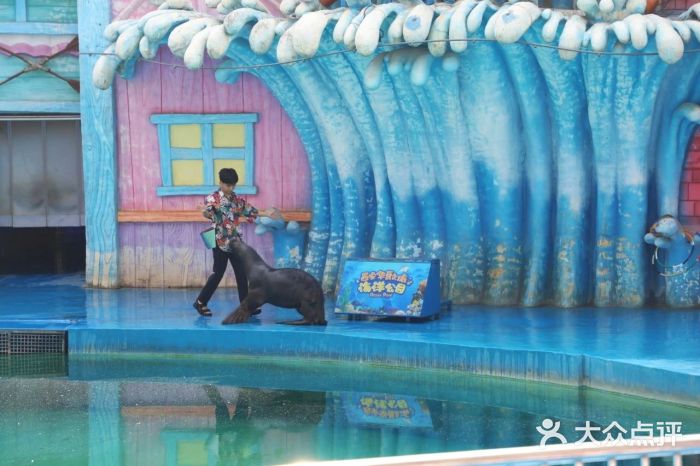 华夏文旅海洋公园图片