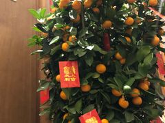 -思念果岭悦温泉