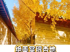 -月坛公园