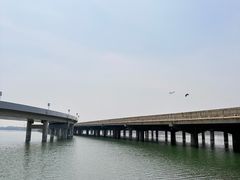 -丁香湖公园