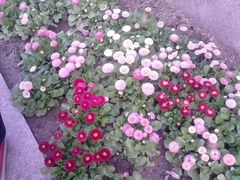 景点-上海市龙华烈士陵园