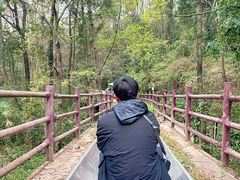 -窦圌山风景区