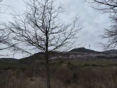-东白山