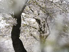 -上海辰山植物园