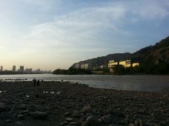 -清真老马家国华牛奶鸡蛋醪糟(正宁路店)