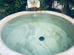 -仁爱团泊湖温泉中心
