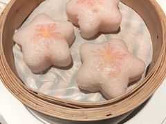 -迦南苑·新派青岛菜·生日纪念日主题餐厅