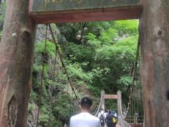 -牛背梁国家森林公园