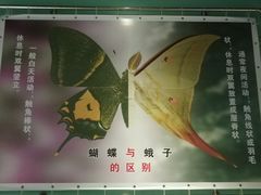 -上海昆虫博物馆