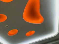 -全心全意连锁动物医院·微创中心·内科急重症·心脏专科(丰管路店)
