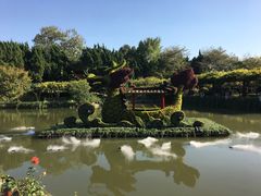 -嘉定紫藤园