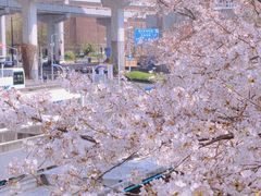 -南浦大桥长途旅游客运站