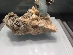 -青岛市博物馆