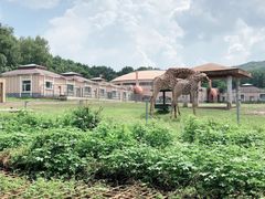 -哈尔滨北方森林动物园