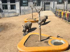 -西霞口神雕山野生动物世界