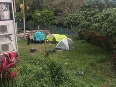 -YHA赛马会摩星岭青年旅舍(香港岛)