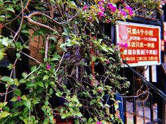 门面-左撇子私房面