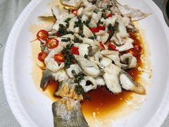 清蒸珍珠斑-新享乐海鲜(翠华路店)