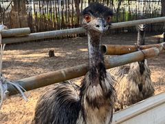 -六鳌翡翠湾滨海度假景区