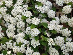 -宜昌富力皇冠假日酒店·咖啡1号西餐厅