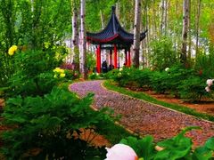 -仁和公园(顺义区)