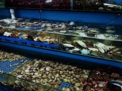 -港畔赶海蒸汽海鲜烧烤自助(仙螺岛店)