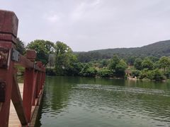 -青龙山国家森林公园