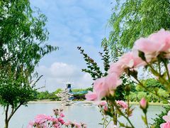-上海鲜花港