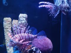 -海合安天津极地海洋公园