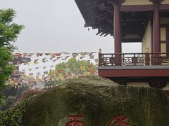 -庐山风景名胜区-东林大佛