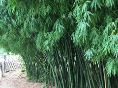 -贵阳市花溪国家城市湿地公园