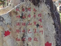 -广州市帽峰山景区