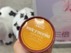 -白色日记·手作酸奶(麦凯乐店)