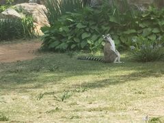 -秦皇岛野生动物园