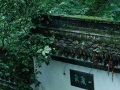 -虎跑公园