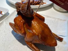 -侨美食家·41年地道粤菜(恒福路店)