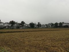 -桤木河湿地公园