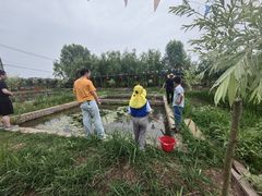 -同銮特种养殖场·龙虾垂钓