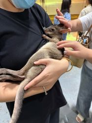 -Zoolung Zoolung动物主题公园(海信广场店)