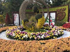 -上海共青森林公园