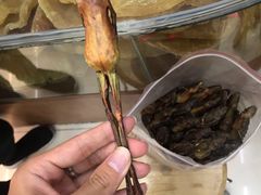-深圳市海吉星国际农产品物流管理有限公司